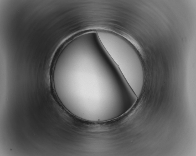 X0000093090980200709260906