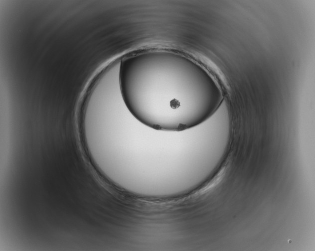 X0000093090981200709260906