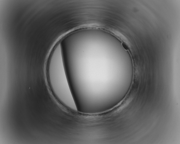 X0000093090989200709260906
