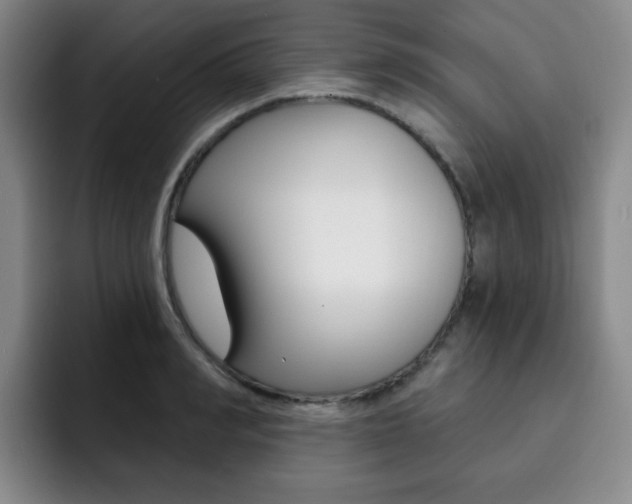 X0000093090990200709260906