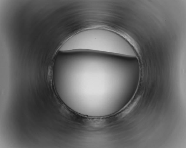 X0000093091001200709260905