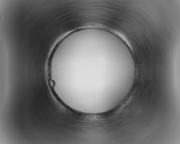 X0000093091003200709260905