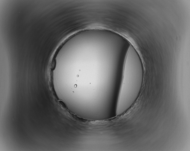 X0000093091008200709260905