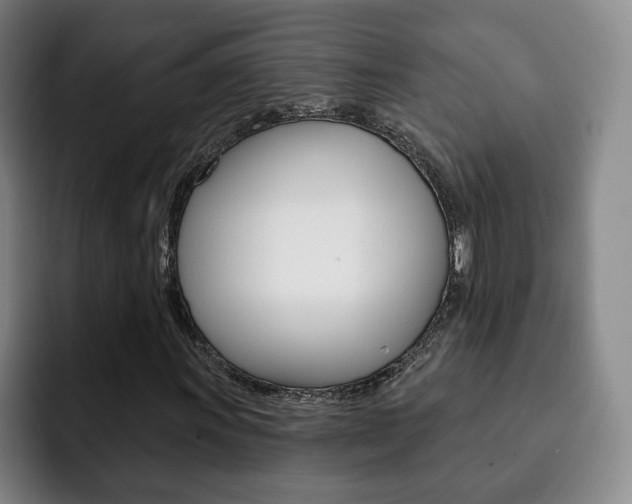 X0000093091011200709260905