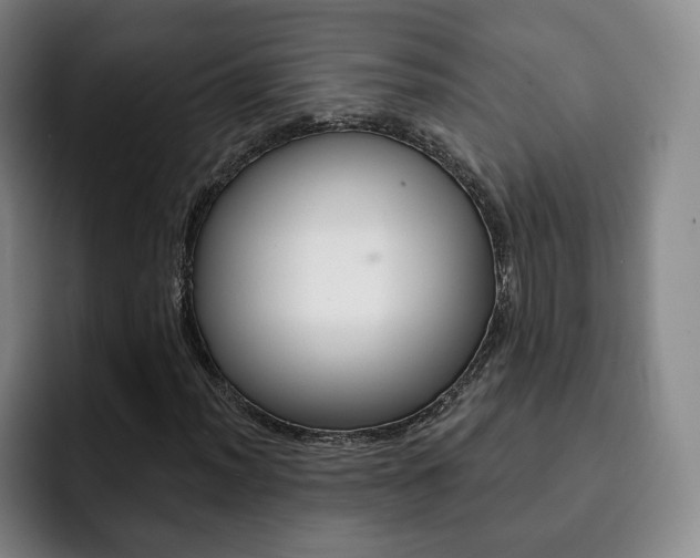 X0000093091012200709260905