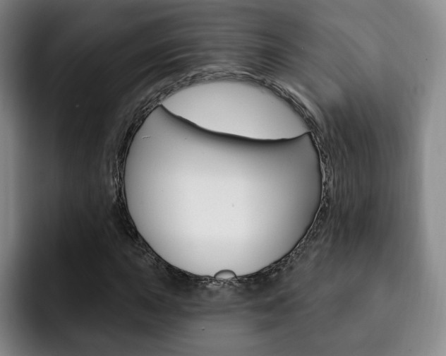 X0000093091015200709260905