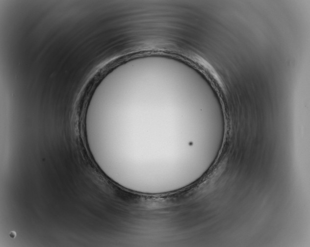 X0000093091019200709260905