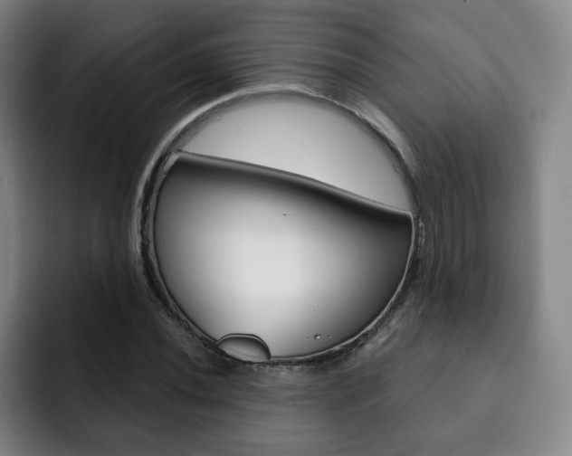 X0000093091020200709260905