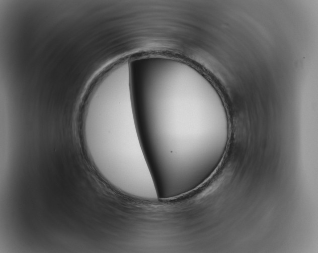 X0000093091021200709260905