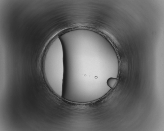 X0000093091023200709260905