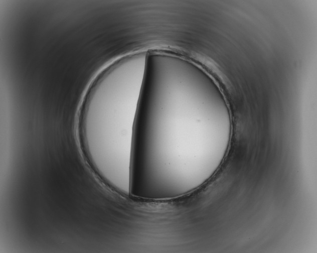 X0000093091024200709260905