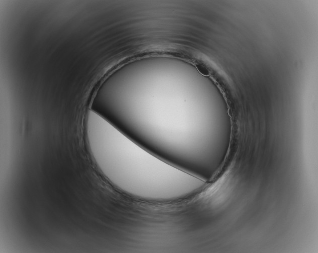 X0000093091025200709260905