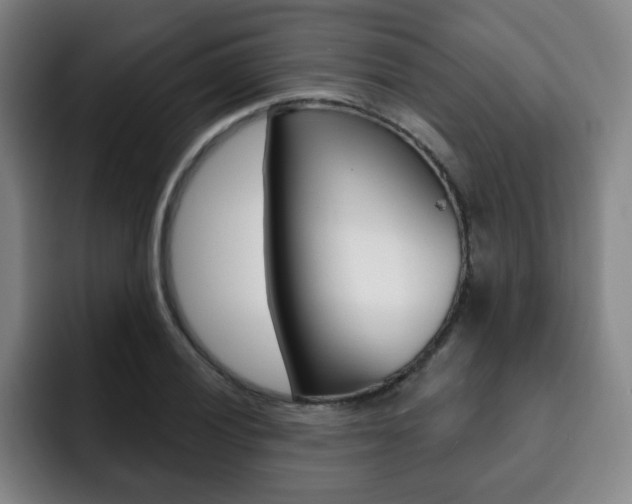 X0000093091028200709260905