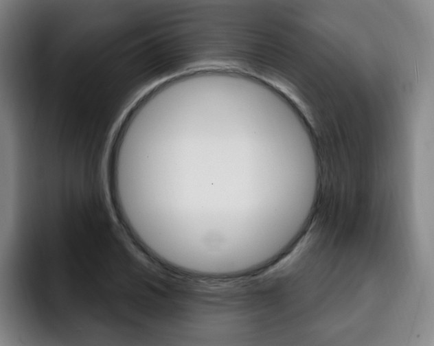 X0000093091030200709260905