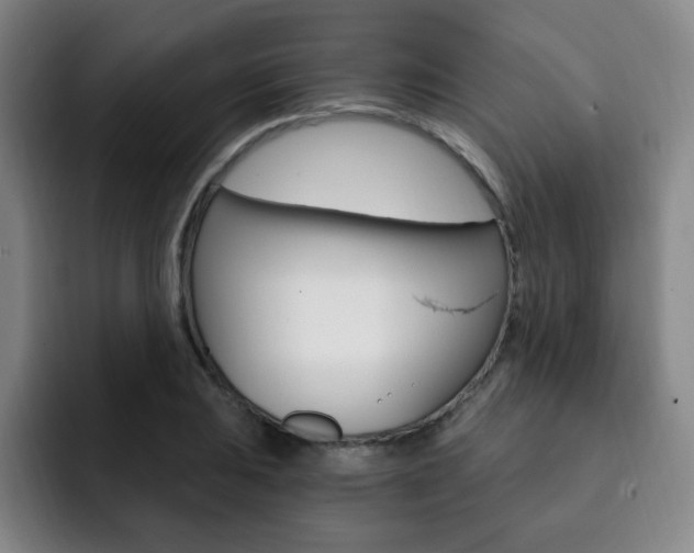 X0000093091031200709260905