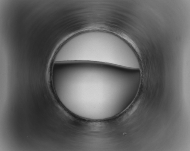 X0000093091037200709260905