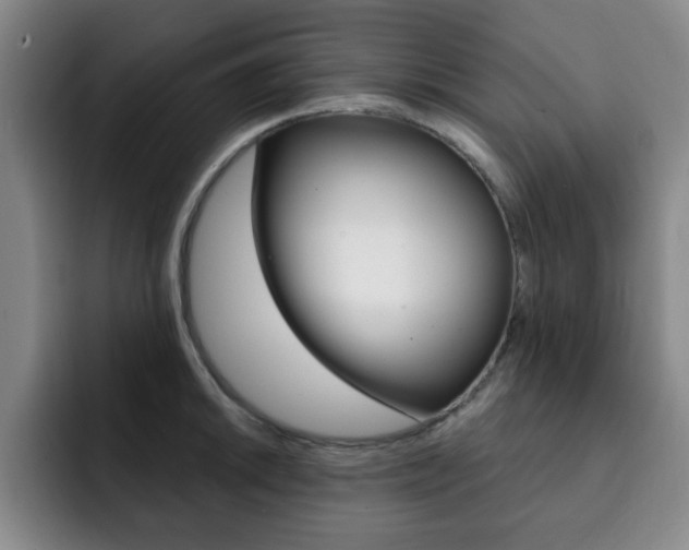 X0000093091046200709260905
