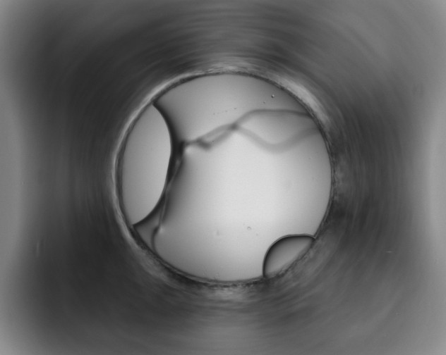X0000093091047200709260905