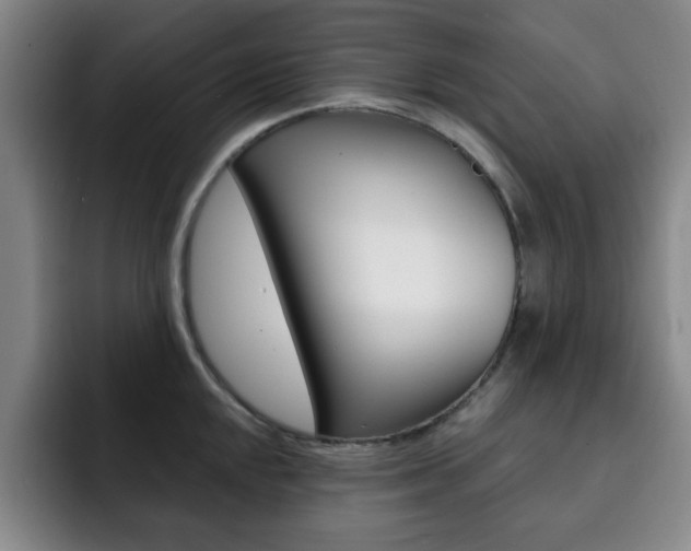 X0000093091048200709260905
