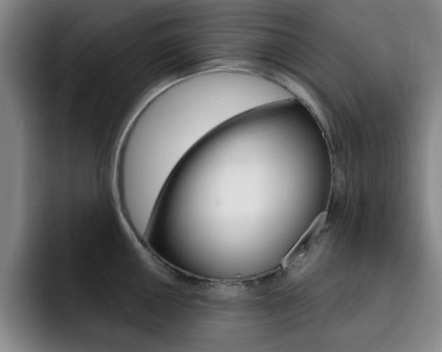 X0000093091050200709260905