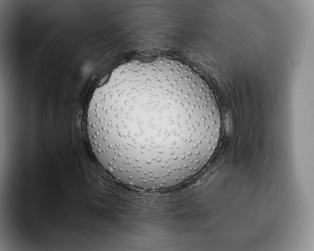 X0000093091059200709260905
