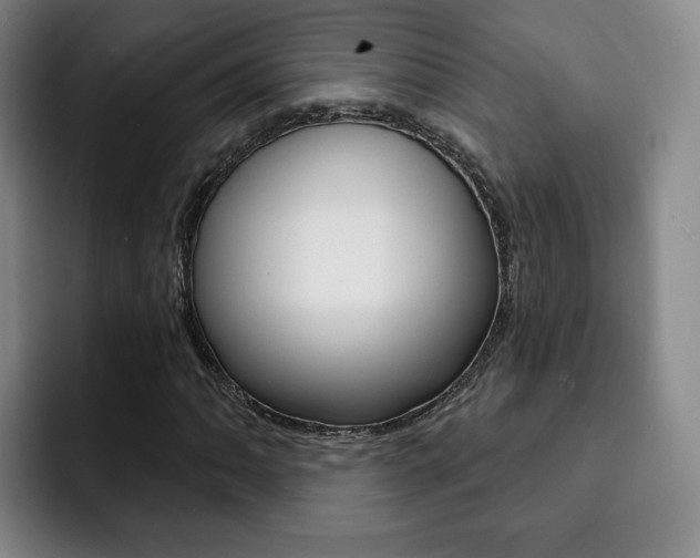 X0000093091062200709260905
