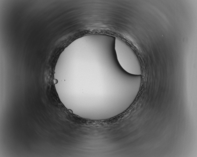 X0000093091063200709260905