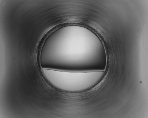 X0000093091066200709260905
