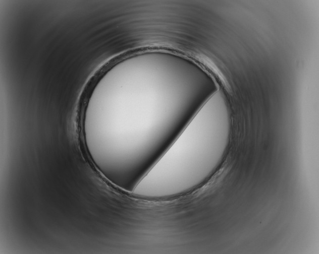 X0000093091068200709260905