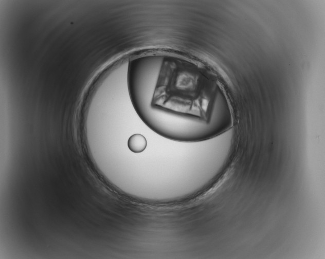 X0000093091069200709260905