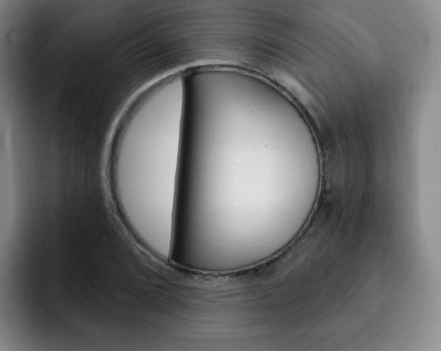 X0000093091072200709260905