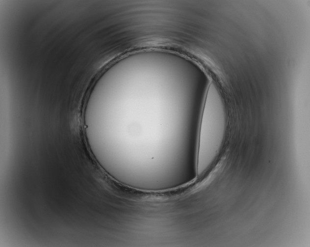 X0000093091073200709260905