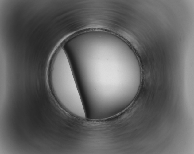X0000093091076200709260905