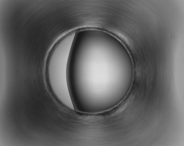 X0000093091077200709260905