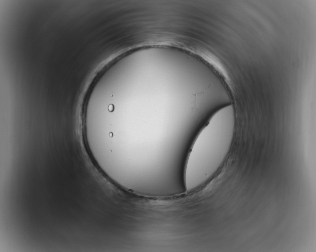 X0000093091088200709260904