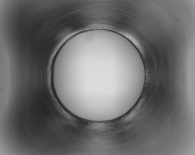 X0000093091094200709260904