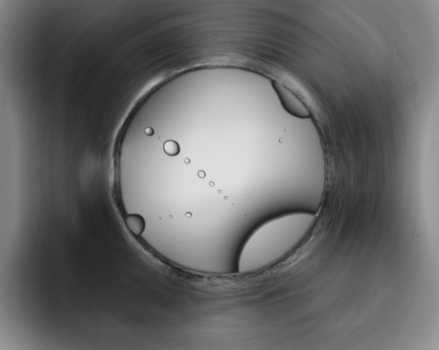 X0000093091095200709260904