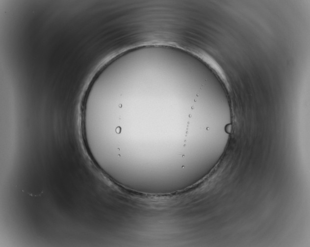 X0000093091096200709260904
