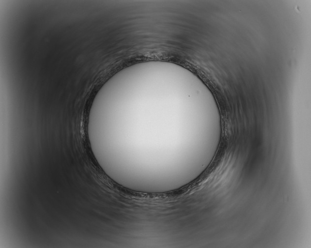 X0000093091106200709260904