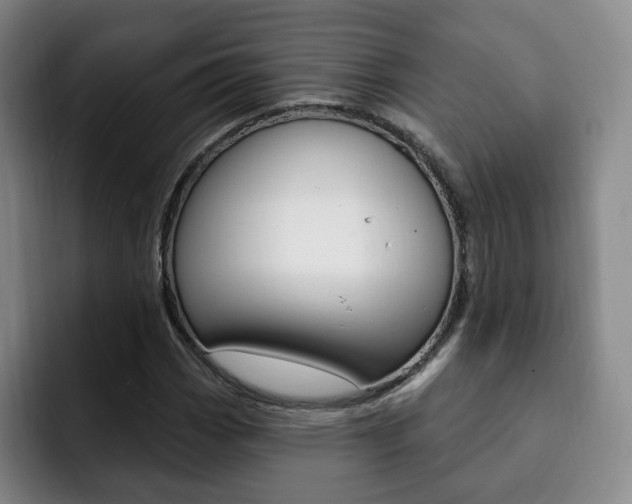X0000093091113200709260904