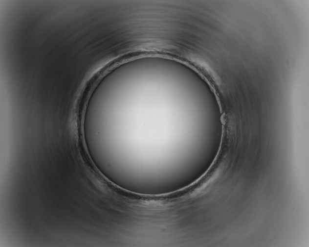 X0000093091114200709260904