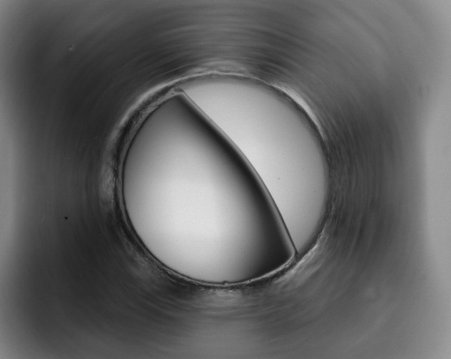 X0000093091115200709260904