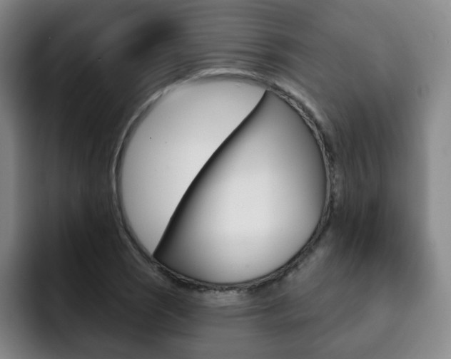 X0000093091121200709260904