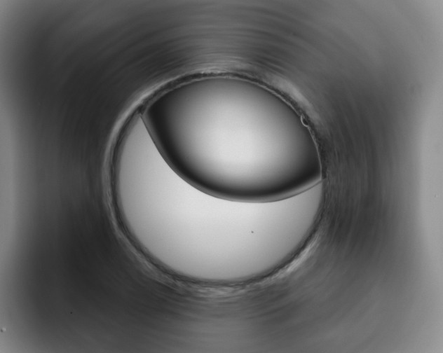 X0000093091122200709260904