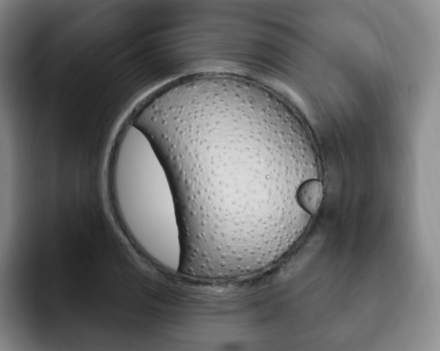 X0000093091125200709260904