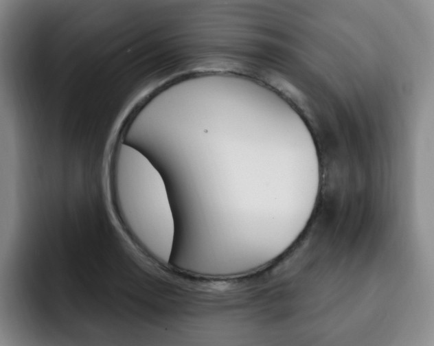 X0000093091130200709260904