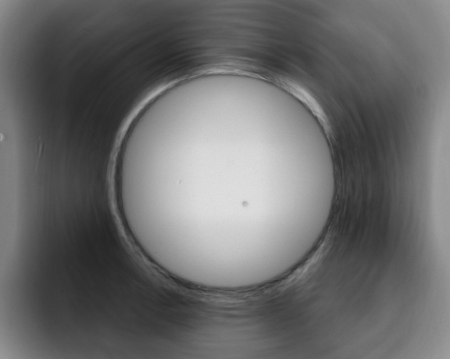 X0000093091138200709260904
