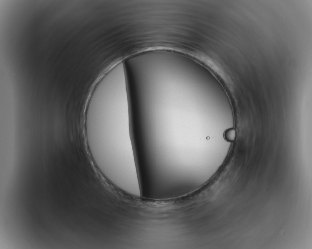 X0000093091145200709260904