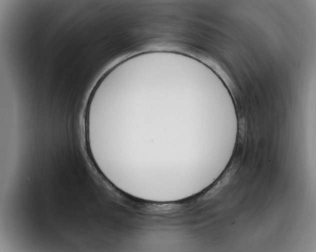 X0000093091150200709260904