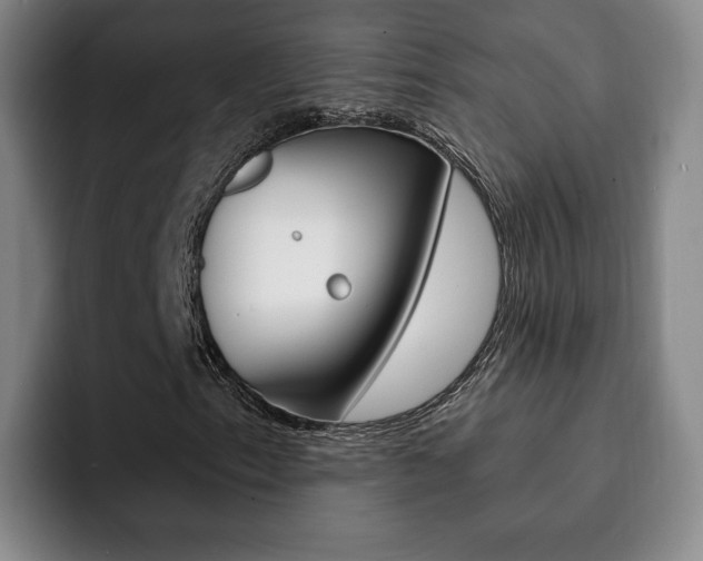 X0000093091153200709260904
